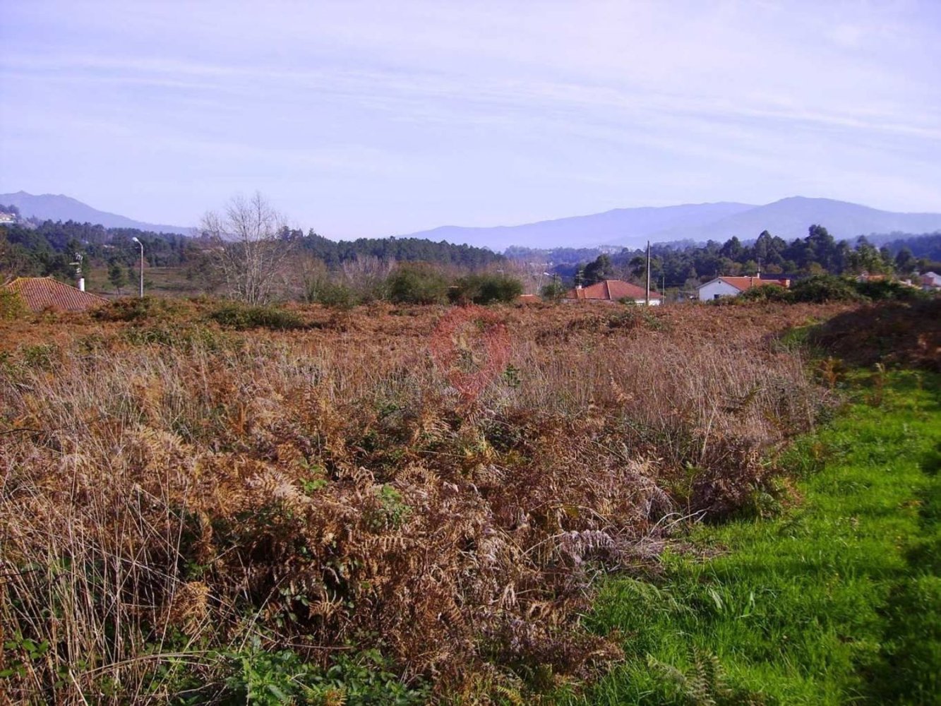 Terrain à Bela, Portugal No. 314074