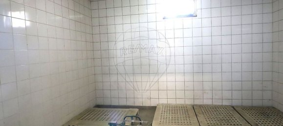 4 Schlafzimmer Haus in Erada, Portugal, Nr. 169562 19