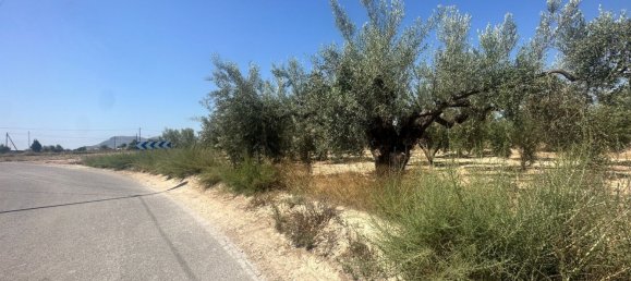  قطعة أرض في Alicante, Spain 4508متر مربع رقم 140619 3