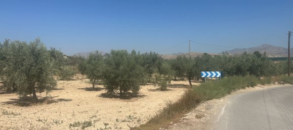  قطعة أرض في Alicante, Spain 4508متر مربع رقم 140619 5