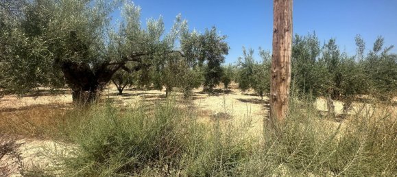  قطعة أرض في Alicante, Spain 4508متر مربع رقم 140619 7