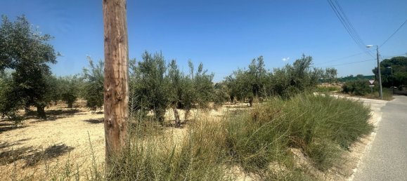  قطعة أرض في Alicante, Spain 4508متر مربع رقم 140619 2