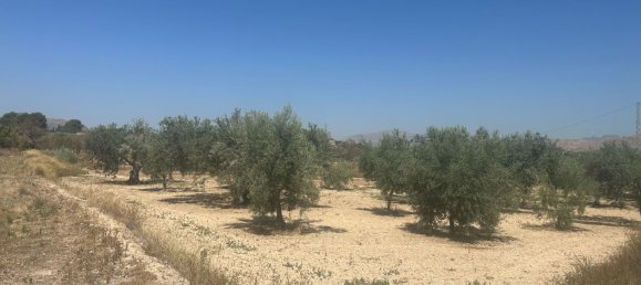  قطعة أرض في Alicante, Spain 4508متر مربع رقم 140619 4