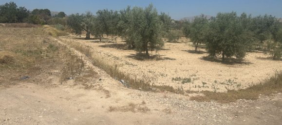  قطعة أرض في Alicante, Spain 4508متر مربع رقم 140619 6