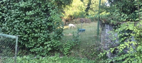 Дом с 2 комнатами в Клагенфурт ам Вёртерзе, Австрия № 233741 18