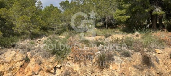 890m² Land in Altea, Spain No. 80099 37
