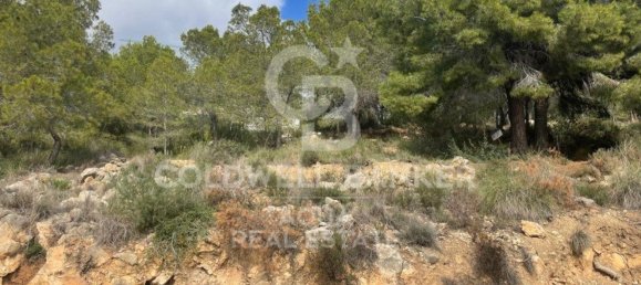 890m² Land in Altea, Spain No. 80099 33