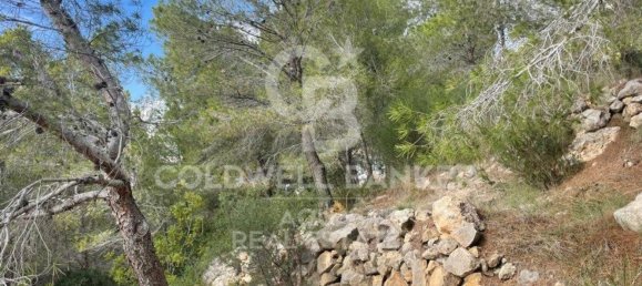890m² Land in Altea, Spain No. 80099 29