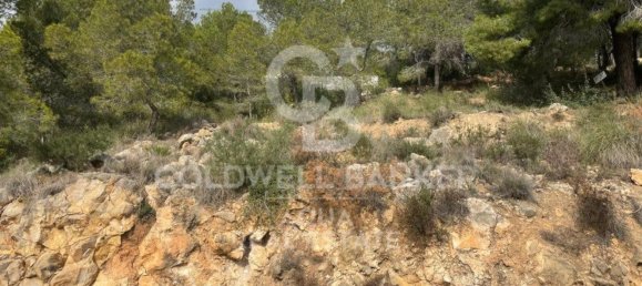 890m² Land in Altea, Spain No. 80099 35