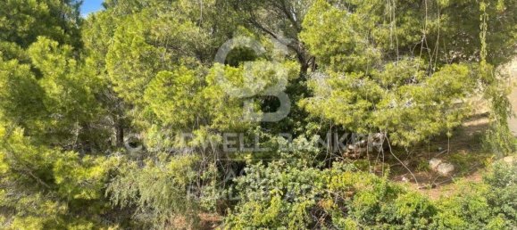 890m² Land in Altea, Spain No. 80099 42