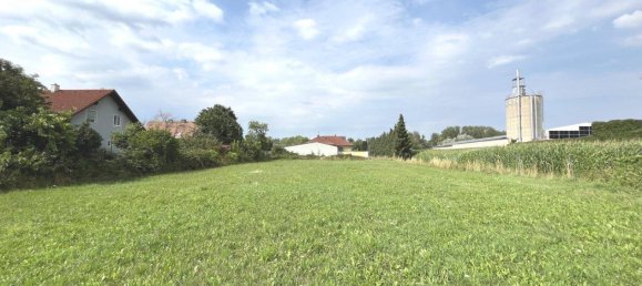 Terreno en Zwentendorf an der Donau, Austria No. 196109 2