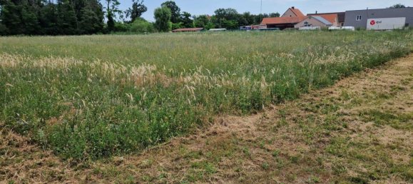 Terreno en Theresienfeld, Austria 6000 m² No. 126690 2