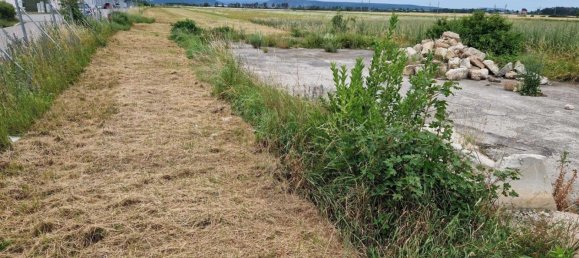 Terreno en Theresienfeld, Austria 6000 m² No. 126690 9