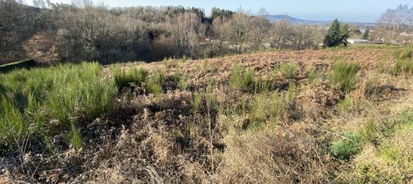 Terrain à Lanobre, France 4856m² No. 103570 3