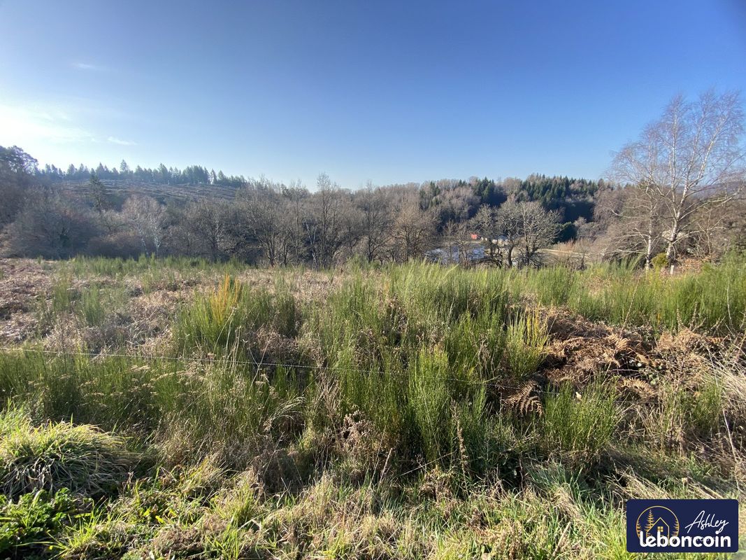 Terrain à Lanobre, France 4856m² No. 103570