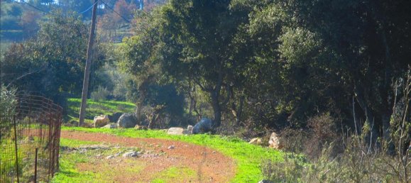 Hotel in Avlonas, Greece 2200m², Nr. 5853 12