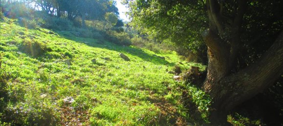 Hotel in Avlonas, Greece 2200m², Nr. 5853 11