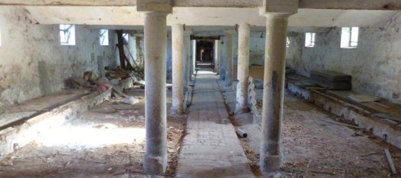 Ферма с 8 комнатами в Северная Саксония, Германия № 179361 17