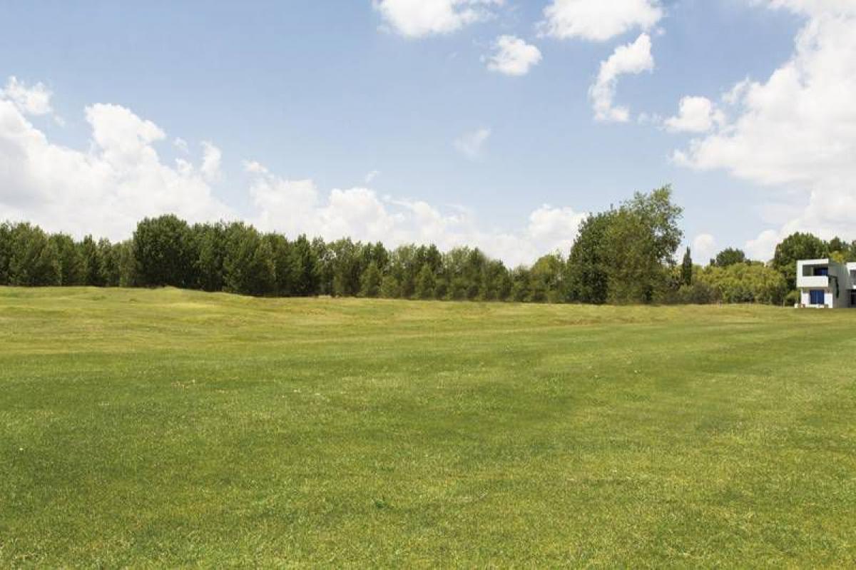  Land in Neuquen, Argentina No. 44693