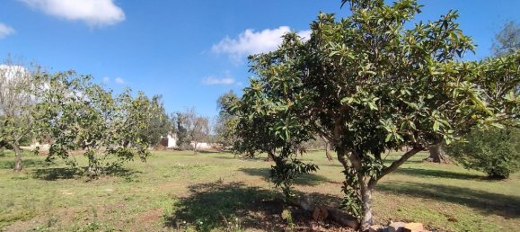 Studio à San Vito dei Normanni, Italy No. 165242 18