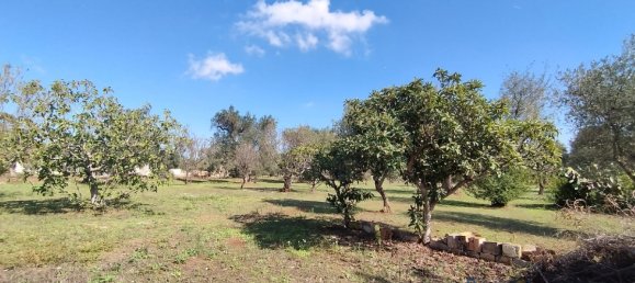 Studio à San Vito dei Normanni, Italy No. 165242 20