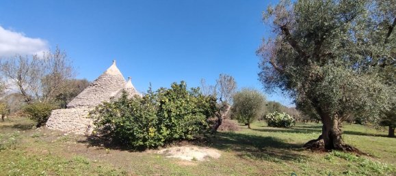 Studio à San Vito dei Normanni, Italy No. 165242 13