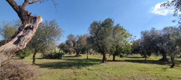 Studio à San Vito dei Normanni, Italy No. 165242 2