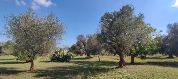 Studio à San Vito dei Normanni, Italy No. 165242 15