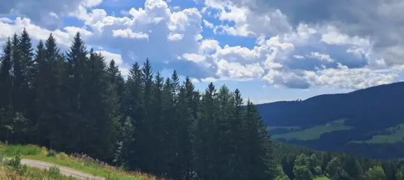 Grundstück in Deutschlandsberg, Austria, Nr. 231055 4