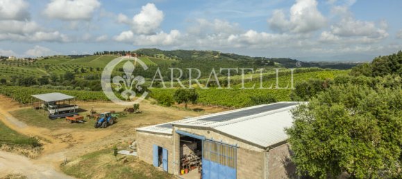 3 Schlafzimmer Grundstück in Grosseto, Italy, Nr. 143961 19