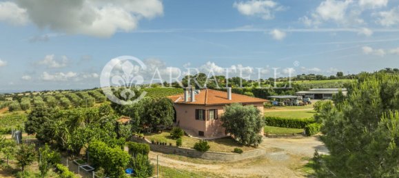 3 Schlafzimmer Grundstück in Grosseto, Italy, Nr. 143961 6