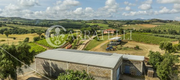 3 Schlafzimmer Grundstück in Grosseto, Italy, Nr. 143961 18