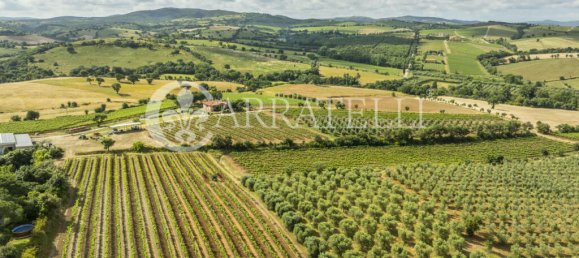 3 Schlafzimmer Grundstück in Grosseto, Italy, Nr. 143961 16