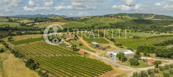 3 Schlafzimmer Grundstück in Grosseto, Italy, Nr. 143961 4