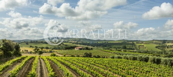 3 Schlafzimmer Grundstück in Grosseto, Italy, Nr. 143961 17