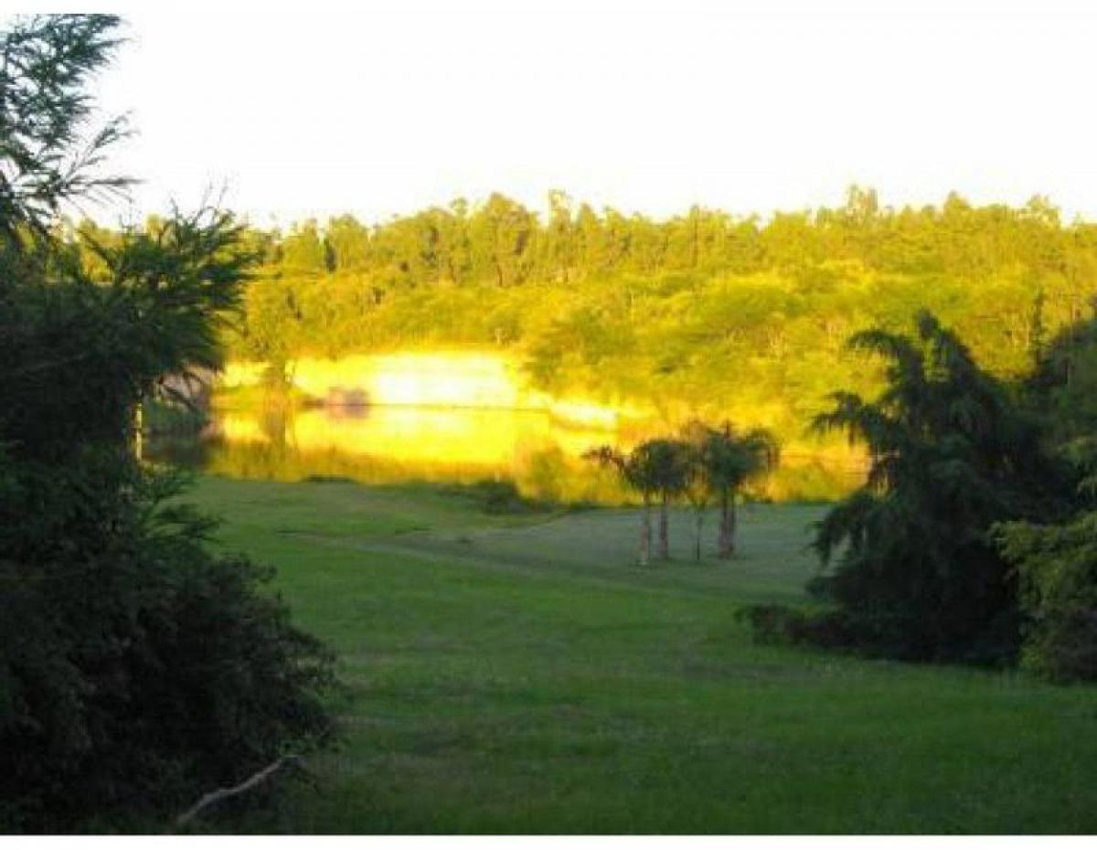  قطعة أرض في Santa Fe, Argentina رقم 37938