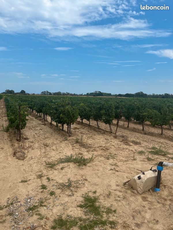 Grundstück in Occitanie, France, Nr. 291585