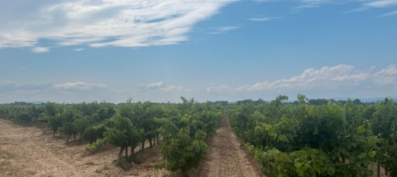 Grundstück in Occitanie, France, Nr. 291585 3