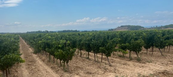 Grundstück in Occitanie, France, Nr. 291585 2