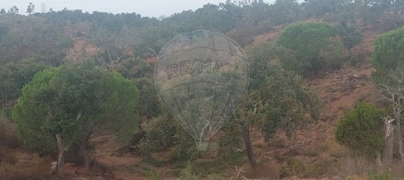 81750m² Land in Santiago do Cacem, Portugal No. 152651 3