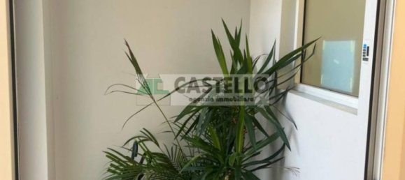 3 rooms Commercial property in Cadoneghe, Italy No. 347227 5