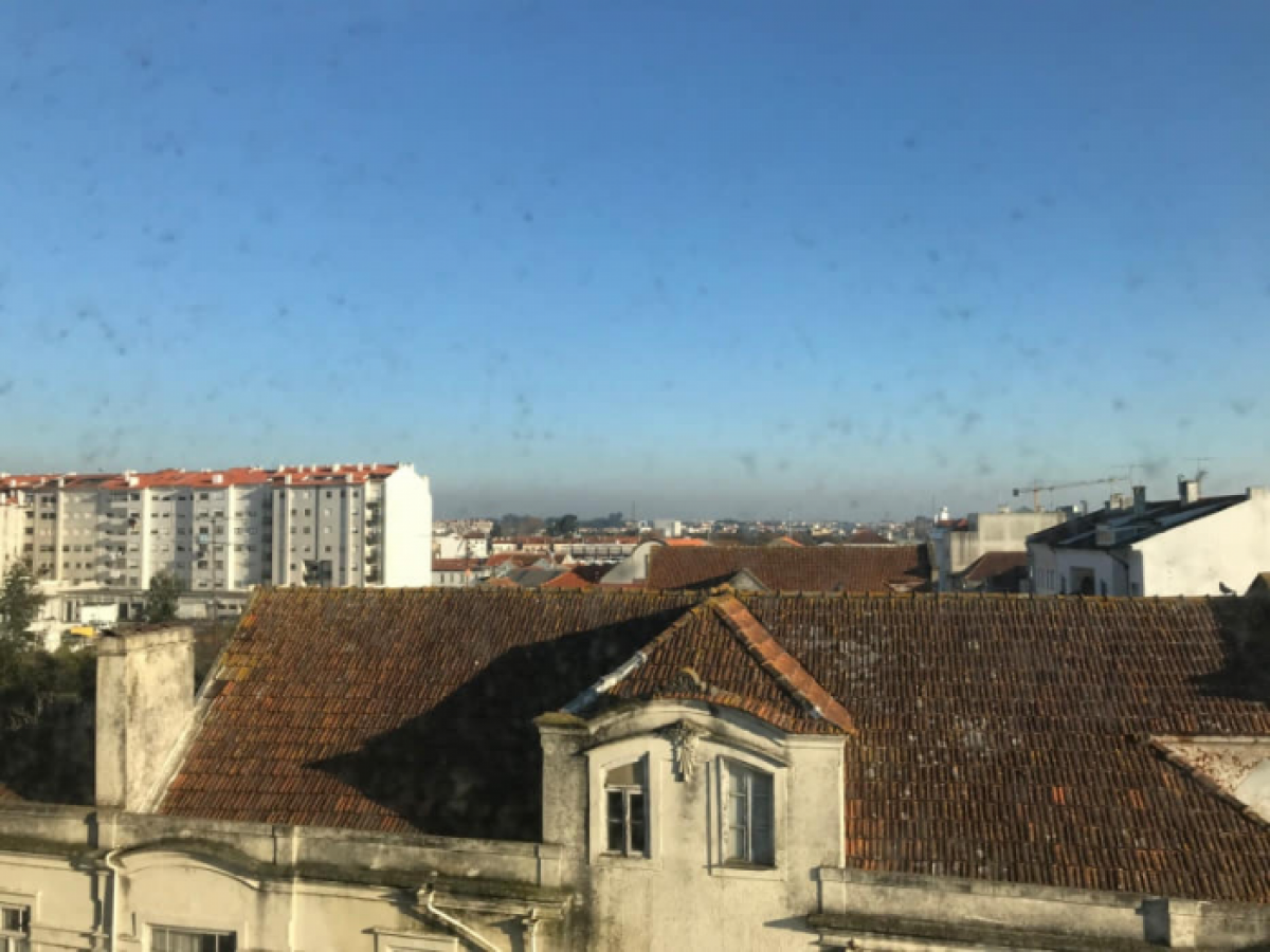 Apartamento de 4 dormitorios en Aveiro, Portugal No. 425