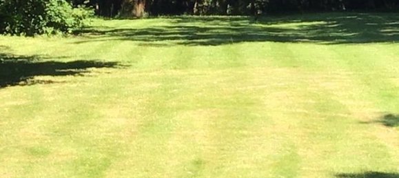 2 bedrooms Commercial property in Dordogne, France No. 1870 6