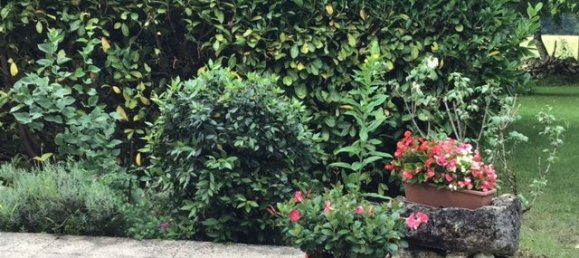 2 bedrooms Commercial property in Dordogne, France No. 1870 10