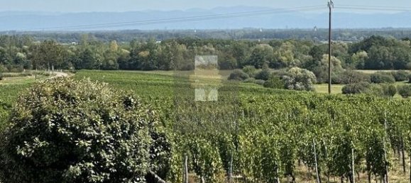 6 Schlafzimmer Schlösser in Blienschwiller, France, Nr. 280613 12