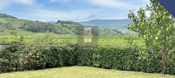 6 Schlafzimmer Schlösser in Blienschwiller, France, Nr. 280613 4