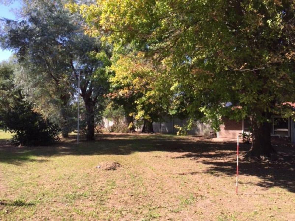  Land in Santa Fe, Argentina No. 44995