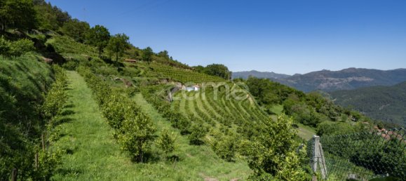 2 bedrooms House in Vieira do Minho, Portugal No. 32921 12