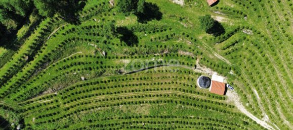 2 bedrooms House in Vieira do Minho, Portugal No. 32921 6