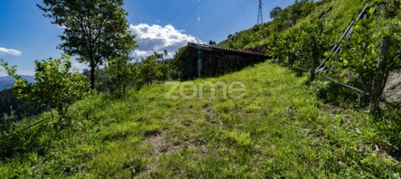 2 bedrooms House in Vieira do Minho, Portugal No. 32921 19